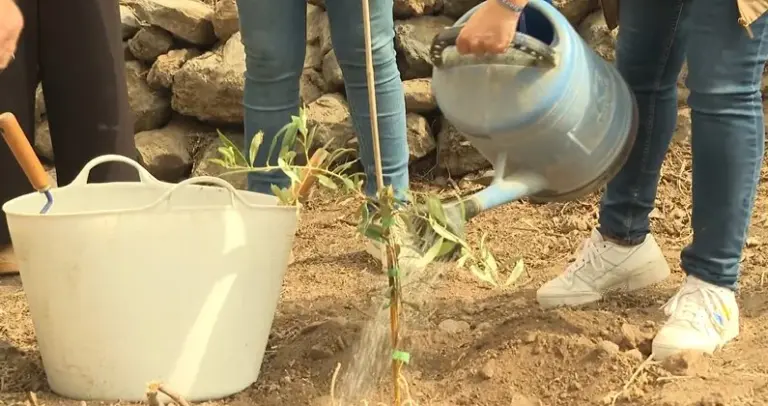 ATELSAM, una asociación que ofrece apoyo integral a personas con enfermedades mentales y familias