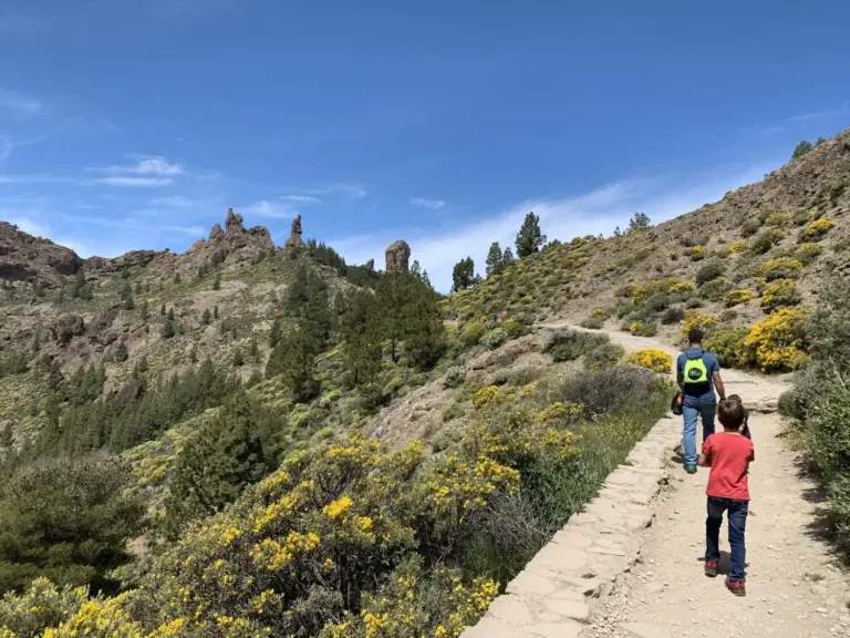Subir al Roque Nublo podría costar dinero «en breve»