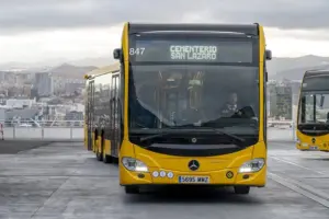 Dispositivo espacial de guaguas Municipales para el Día de Todos los Santos