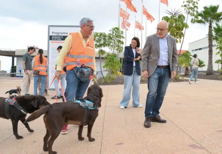 Las Palmas de Gran Canaria acoge la octava edición de Animundo