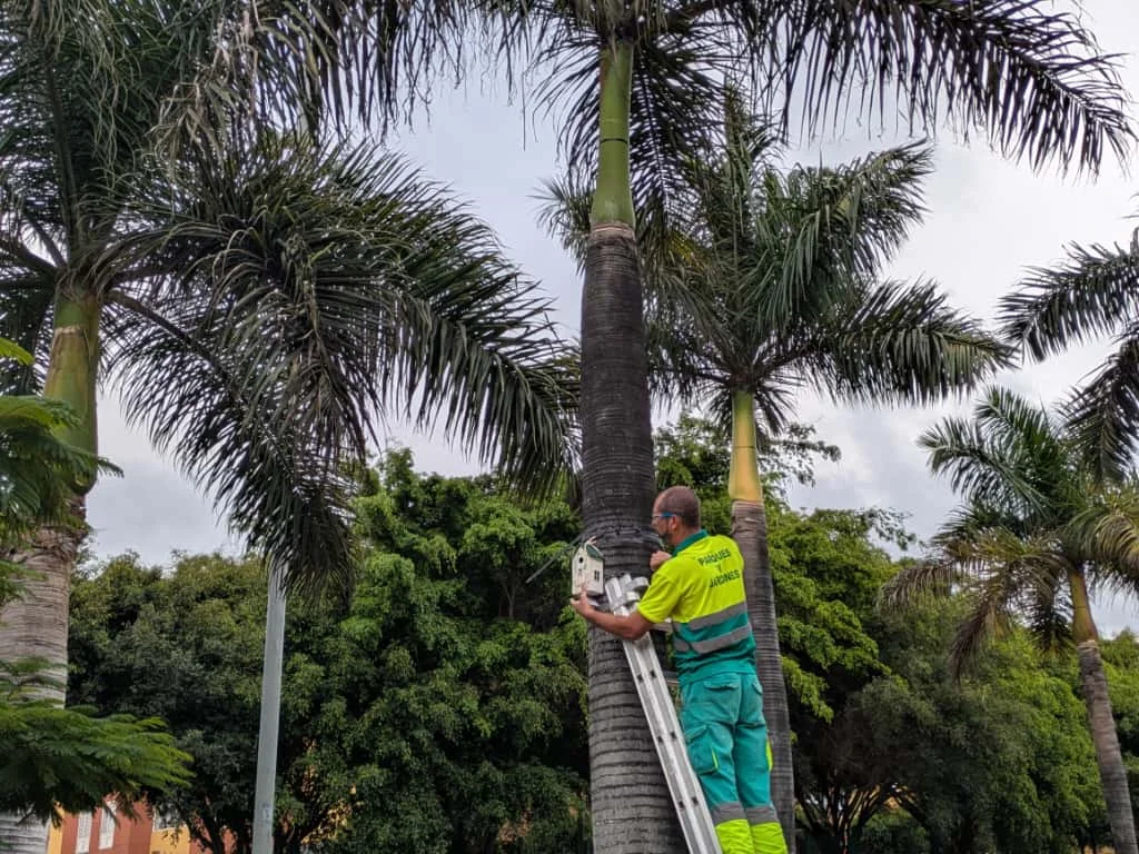 Instalación de una de las casas-nido en el Parque Juan Pablo II