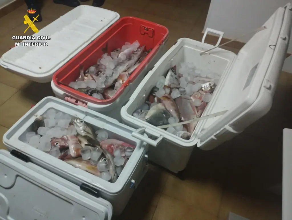 Intervienen 100 kilos de pescado a cuatro pescadores deportivos en Lanzarote. Guardia Civil.