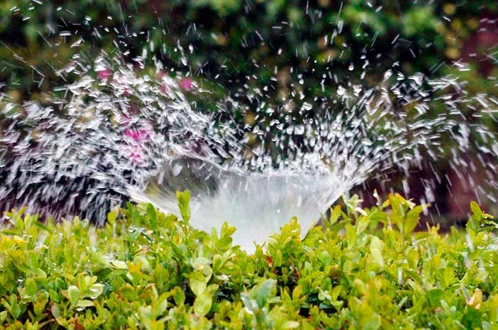Determinan la causa de la baja calidad del agua en el Valle de Aridane
