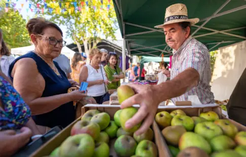 La Fiesta de la Manzana: postres, sidra, fabada, música y humor este domingo en Valleseco