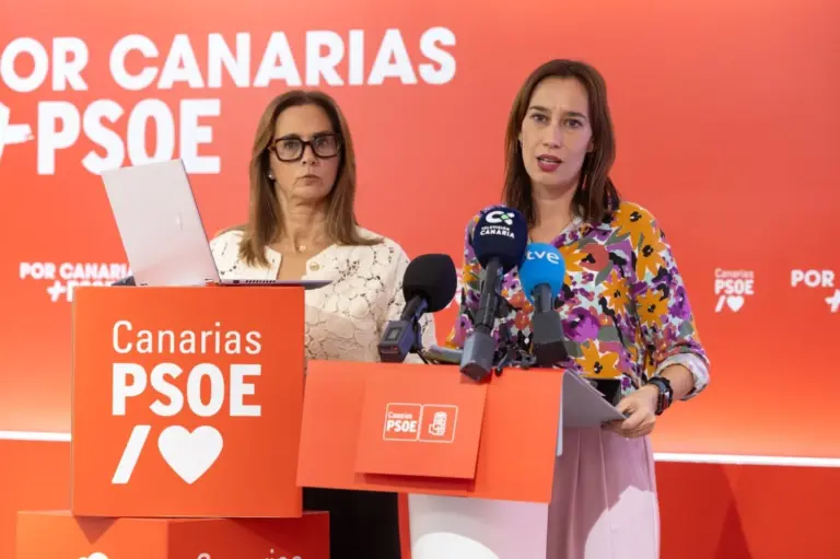 El PSOE denuncia un «engaño masivo» en la atención a la dependencia en Canarias