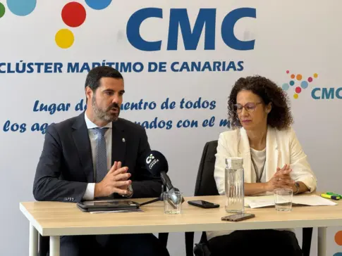 Canarias pide una subasta nacional para la eólica marina