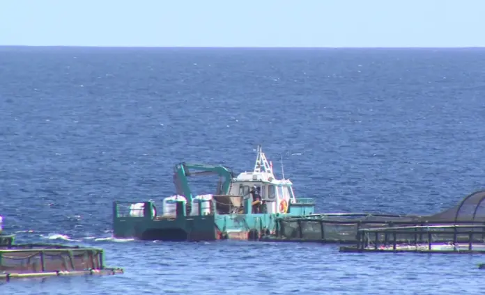 Seis municipios de Gran Canaria, en alerta por contaminación marina por vertidos orgánicos