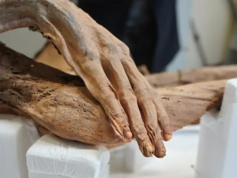 “Legado canario disperso”: localizar y recuperar el patrimonio de las islas