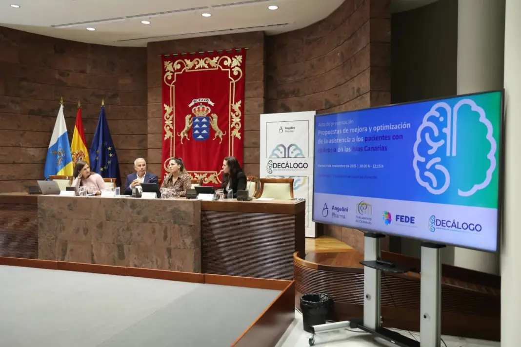 Un momento de la celebración de las jornadas “Propuesta de mejora y optimización de la asistencia a los pacientes con epilepsia en las islas Canarias”.
