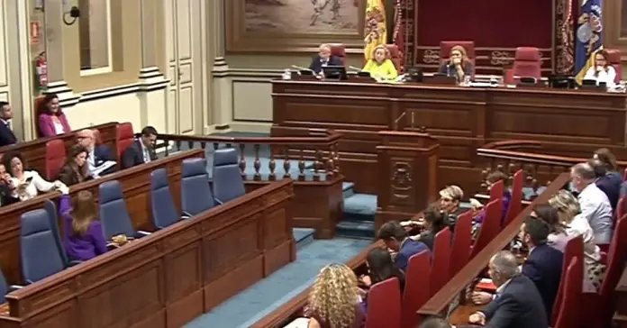 Elena Máñez ha acusado a la consejería de Bienestar Social en el pleno del Parlamento de Canarias porque dice que el modelo de dependencia es "barato y precario"