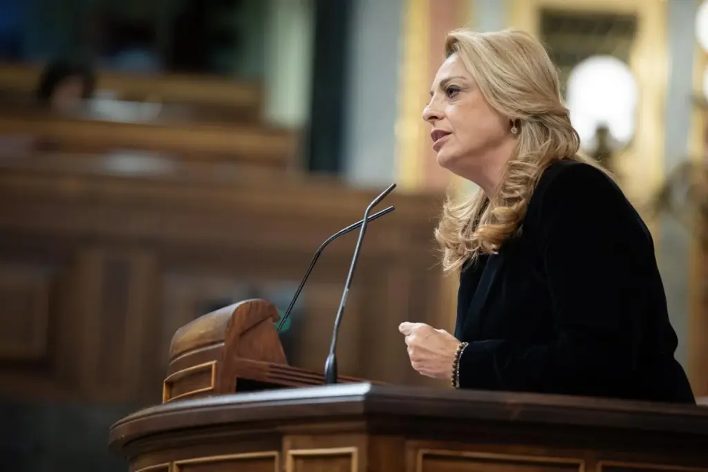 Cristina Valido durante su intervención de hoy en el Congreso