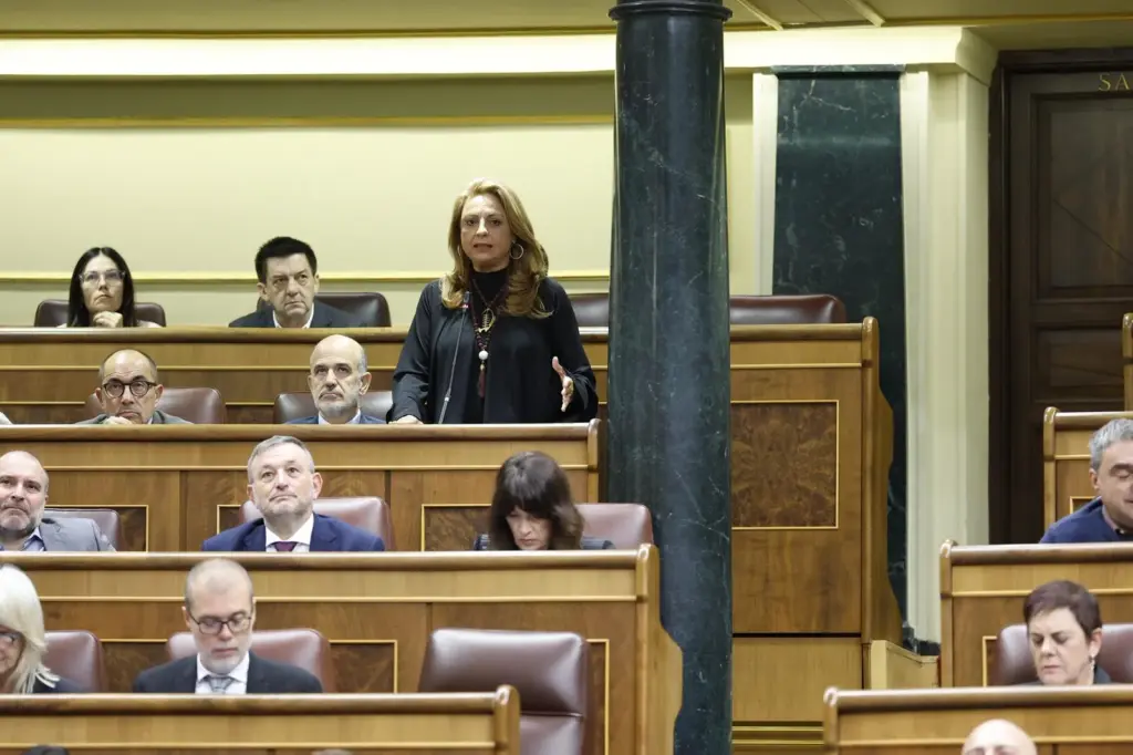 Cristina Valido en el Congreso de los Diputados este miércoles
