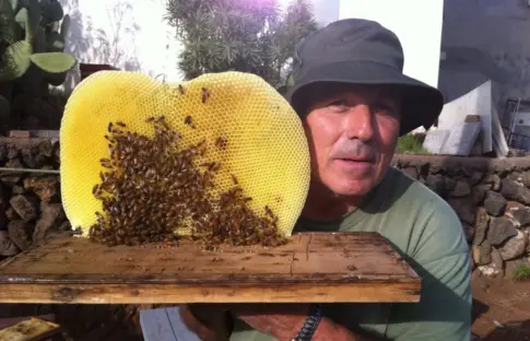 Premios, tendencias y sabor atlántico: Vuelve ‘Con Cúrcuma’ con un elenco estelar de la gastronomía canaria