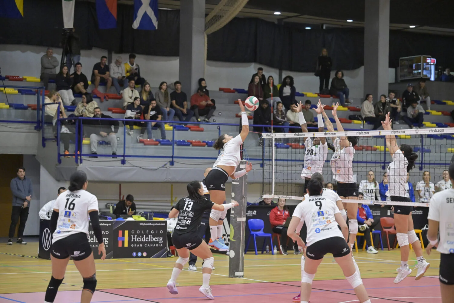 El Heidelberg Volkswagen se clasifica matemáticamente a la Copa de la Reina