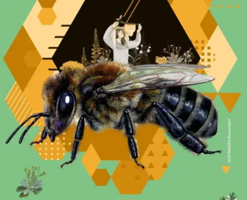 Mujer y apicultura se dan cita en La Palma