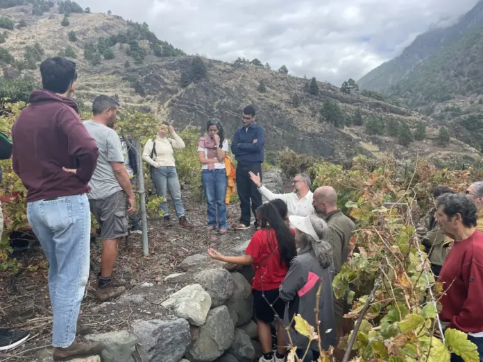 El sector vitivinícola palmero estudia los suelos volcánicos