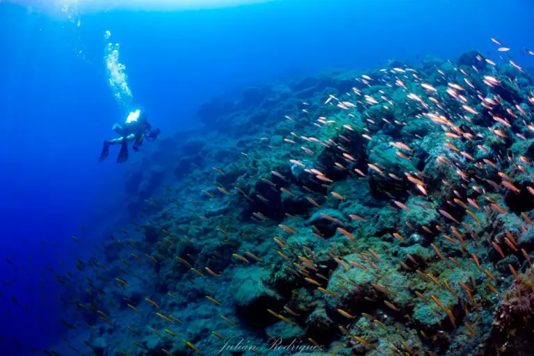Plocan coordina un programa pionero para observar los deltas lávicos en La Palma