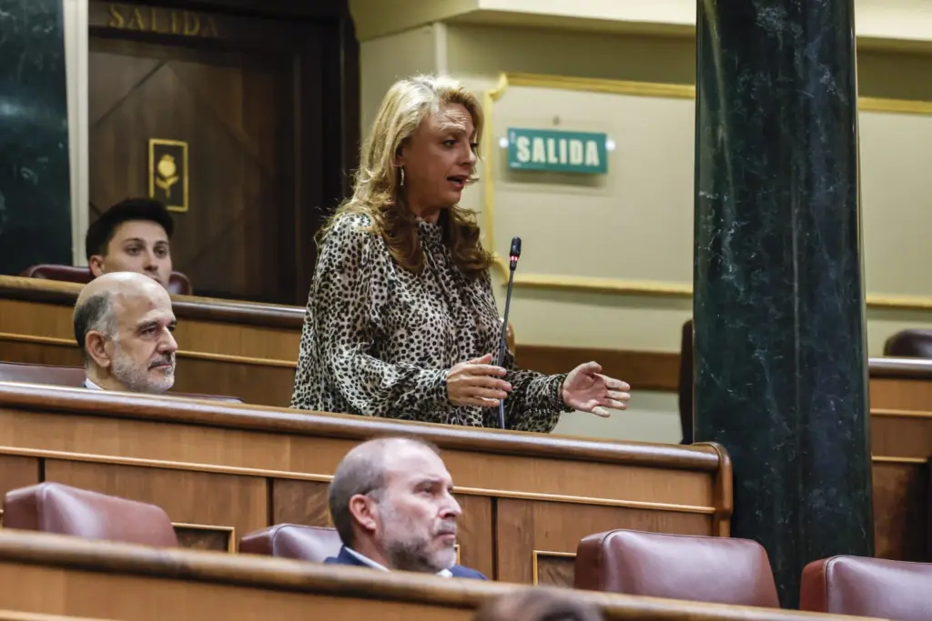 La diputada de CC Cristina Valido interviene durante la sesión de control en el Congreso, este miércoles. EFE JJ. Guillén