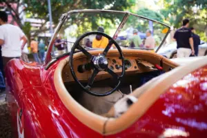 La XXIV Clásica Tenerife revive la emoción del motor