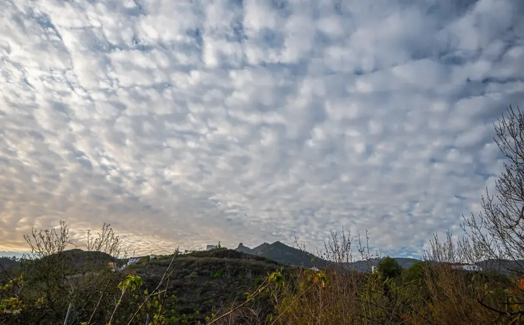 Vega de San Mateo, Gran Canaria. Imagen Pino González