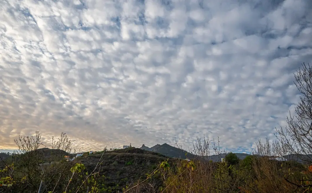 Vega de San Mateo, Gran Canaria. Imagen Pino González