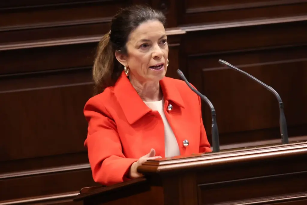 La nacionalista Socorro Beato durante el pleno de este miércoles