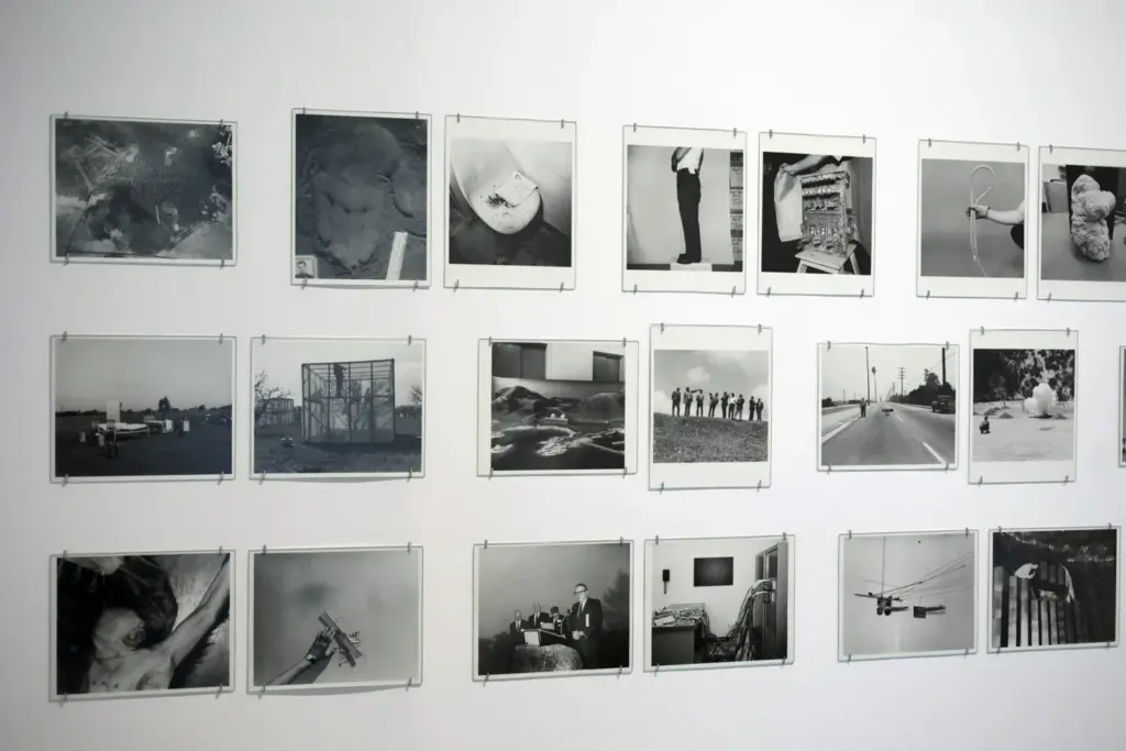 TEA presenta la Bienal Internacional de Fotografía Fotonoviembre