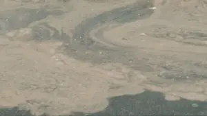 Más de diez playas de Gran Canaria afectadas por el vertido de las piscifactorías de Telde