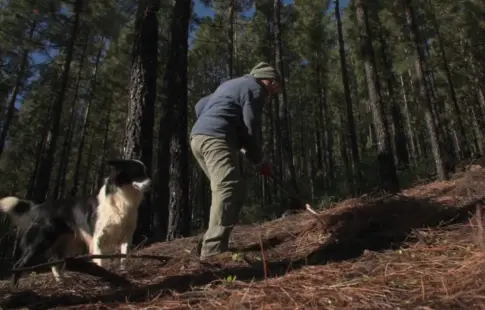 El Cabildo de Gran Canaria apuesta por el humor para concienciar sobre los incendios forestales