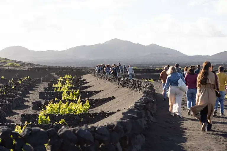 La Cátedra de Agroturismo y Enoturismo de Canarias alerta sobre la falta de estrategias integradas