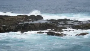 54 personas han fallecido en Canarias por ahogamiento en lo que va de año