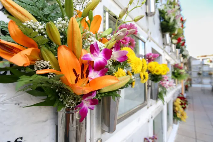 Los cementerios durante estos días se llenan de color con las miles de flores frescas que los familiares colocan donde están sus seres queridos / Imagen cementerio de Adeje (Tenerife)
