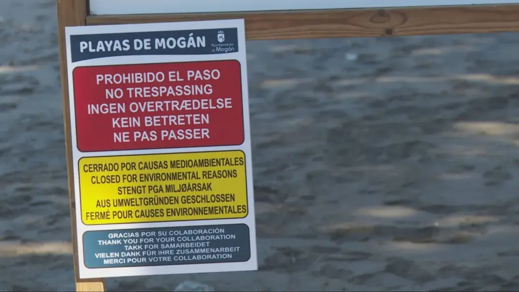 Más de diez playas de Gran Canaria afectadas por el vertido de las piscifactorías de Telde