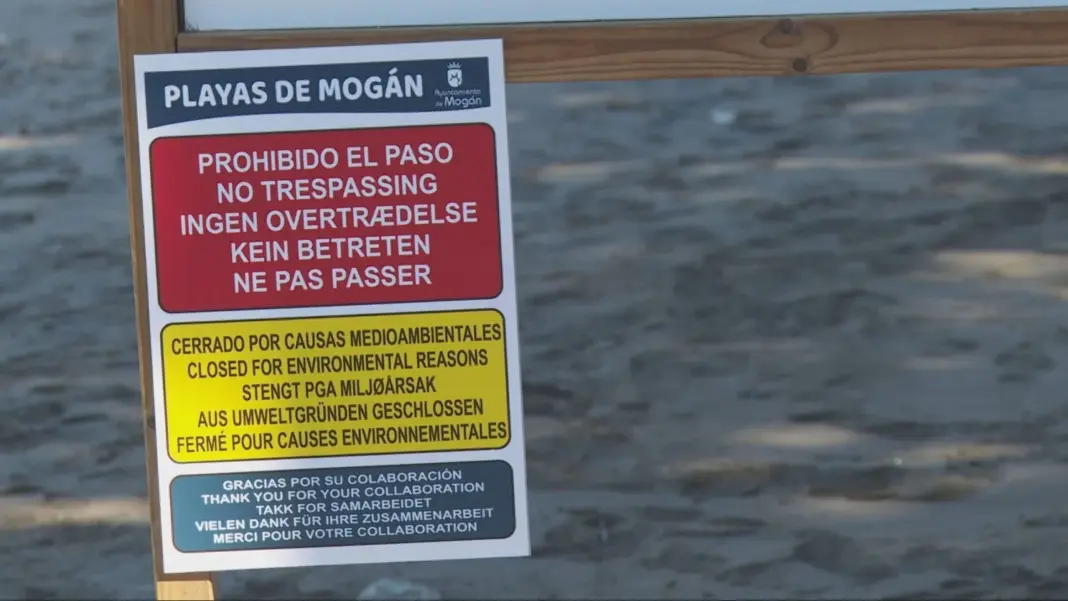 Más de diez playas de Gran Canaria afectadas por el vertido de las piscifactorías de Telde