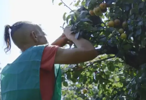 Uno de cada tres alimentos cultivado no se consume