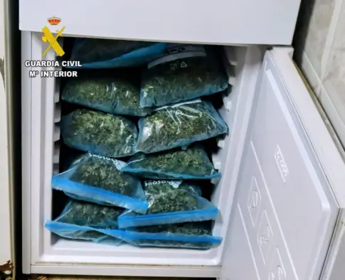 Desarticulado en Tenerife un grupo criminal dedicado al cultivo de plantas de cannabis