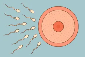 Imagen de espermatozoides llegando al óvulo