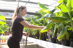 El IV Congreso Nacional de Mujeres Rurales ha puesto en valor en Tenerife el trabajo de la mujer en el campo y hace un llamamiento a la unión del sector para visibilizar su labor