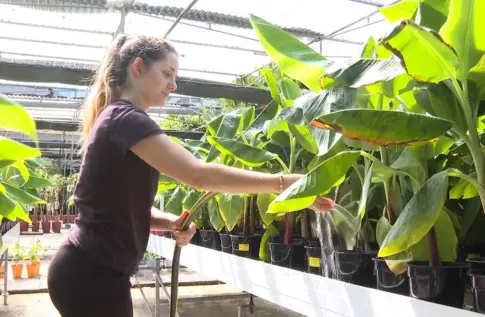 Las mujeres rurales en Canarias representan el 29%