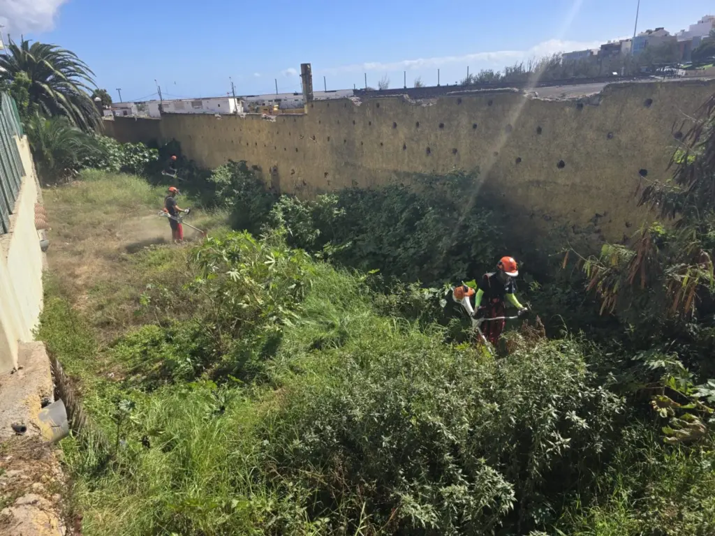 Operarios de limpieza del Cabildo de Gran Canaria limpiando barrancos de Telde / Ayuntamiento de Telde 