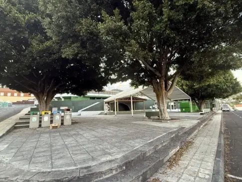 El Hierro celebra este sábado la ‘Feria del Cordero en Familia’, alzando el «valor» de la raza autóctona en la isla