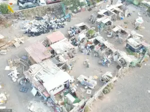 La Guardia Civil investiga a la presidenta de una protectora de Agüimes por presunto maltrato animal