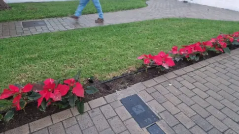 Acto vandálico contra la decoración navideña en Arucas, Gran Canaria