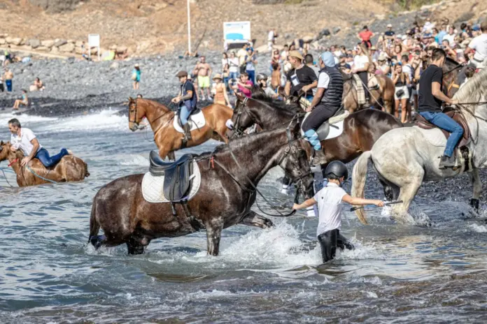 Adeje abre las inscripciones de animales para la Fiesta de San Sebastián 2026
