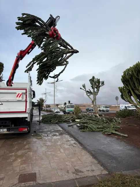 Puerto del Rosario recupera sus zonas verdes tras la borrasca Emilia