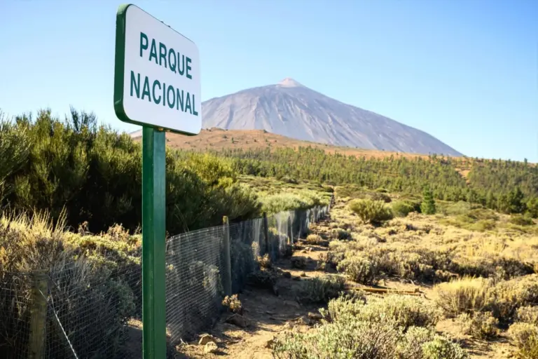 El plan rector del Teide fija cuatro zonas: reserva, uso moderado, restringido y especial