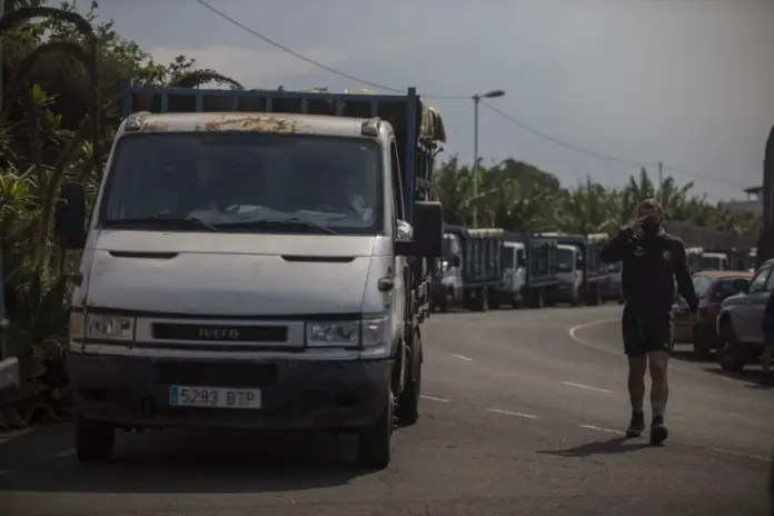 Varios camiones de agricultores se dirigen a recoger sus plantaciones de plátanos, en la carretera de La Laguna a Tazacorte, en La Palma.