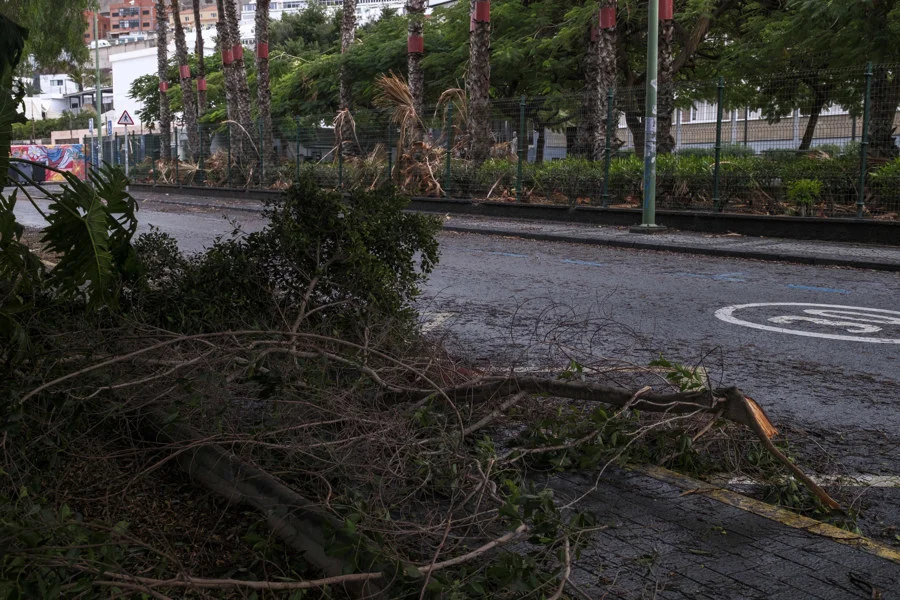 Las Palmas de Gran Canaria