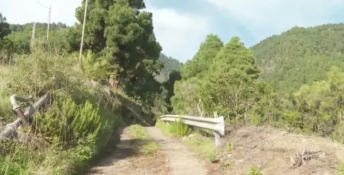 El cadáver hallado en un barranco de La Palma es una mujer aún no identificada