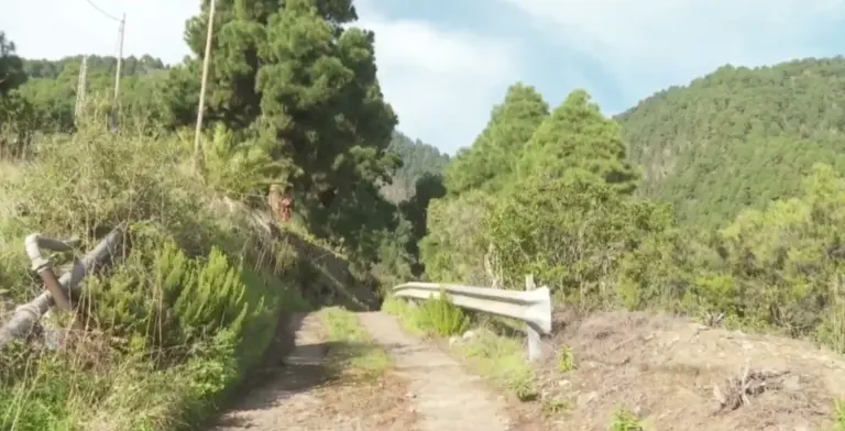 El cadáver hallado en un barranco de La Palma es una mujer aún no identificada
